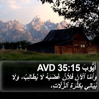 أَيُّوبَ 35:15 AVD Bible Verse Image