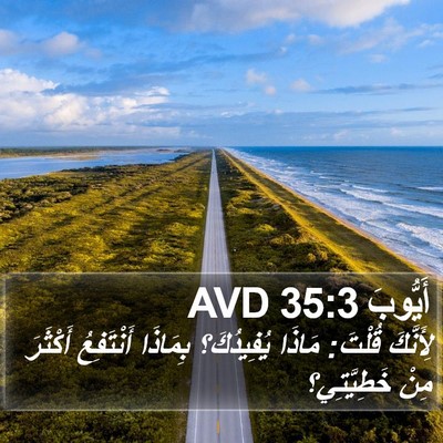 أَيُّوبَ 35:3 AVD Bible Verse Image