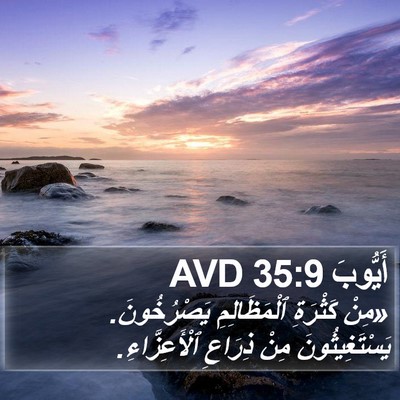 أَيُّوبَ 35:9 AVD Bible Verse Image