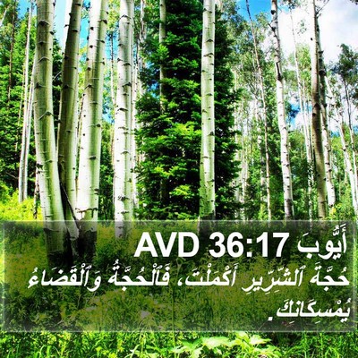 أَيُّوبَ 36:17 AVD Bible Verse Image