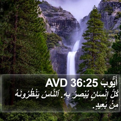 أَيُّوبَ 36:25 AVD Bible Verse Image