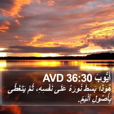 أَيُّوبَ 36:30 AVD Bible Verse Image