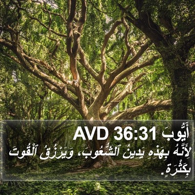 أَيُّوبَ 36:31 AVD Bible Verse Image