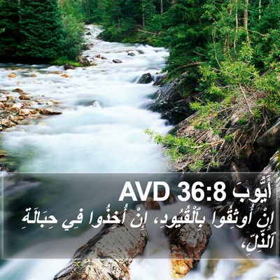 أَيُّوبَ 36:8 AVD Bible Verse Image