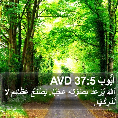 أَيُّوبَ 37:5 AVD Bible Verse Image
