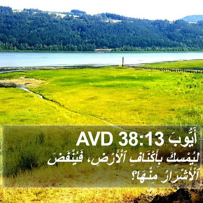 أَيُّوبَ 38:13 AVD Bible Verse Image