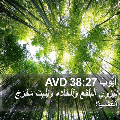 أَيُّوبَ 38:27 AVD Bible Verse Image