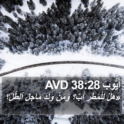 أَيُّوبَ 38:28 AVD Bible Verse Image
