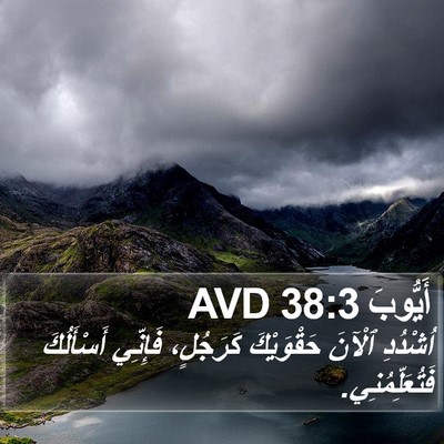 أَيُّوبَ 38:3 AVD Bible Verse Image