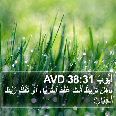أَيُّوبَ 38:31 AVD Bible Verse Image