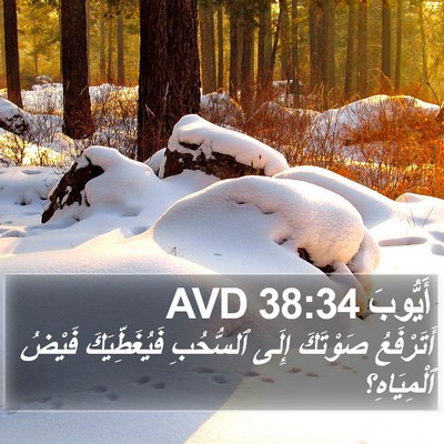 أَيُّوبَ 38:34 AVD Bible Verse Image