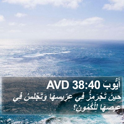 أَيُّوبَ 38:40 AVD Bible Verse Image