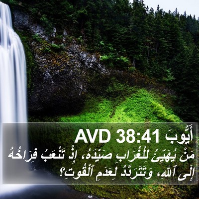 أَيُّوبَ 38:41 AVD Bible Verse Image