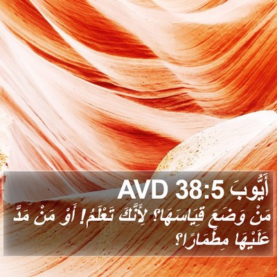 أَيُّوبَ 38:5 AVD Bible Verse Image