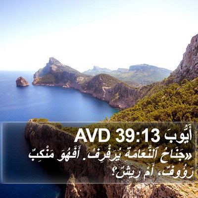 أَيُّوبَ 39:13 AVD Bible Verse Image