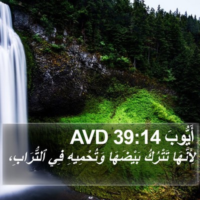 أَيُّوبَ 39:14 AVD Bible Verse Image