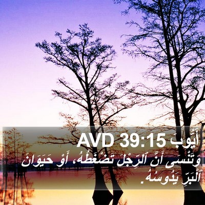 أَيُّوبَ 39:15 AVD Bible Verse Image