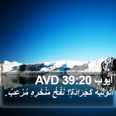 أَيُّوبَ 39:20 AVD Bible Verse Image