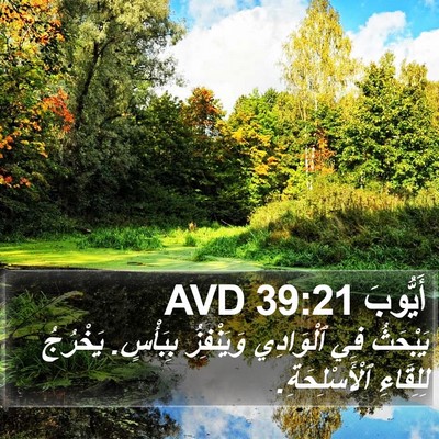 أَيُّوبَ 39:21 AVD Bible Verse Image