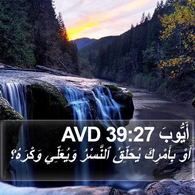 أَيُّوبَ 39:27 AVD Bible Verse Image