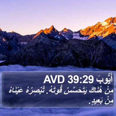 أَيُّوبَ 39:29 AVD Bible Verse Image