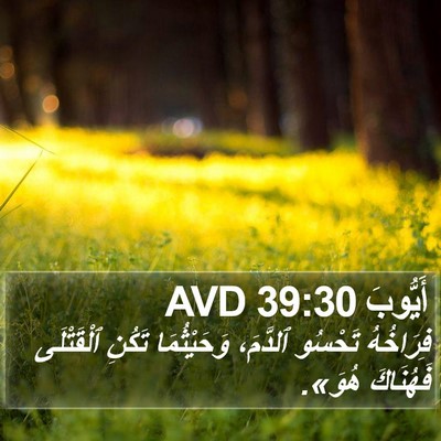 أَيُّوبَ 39:30 AVD Bible Verse Image