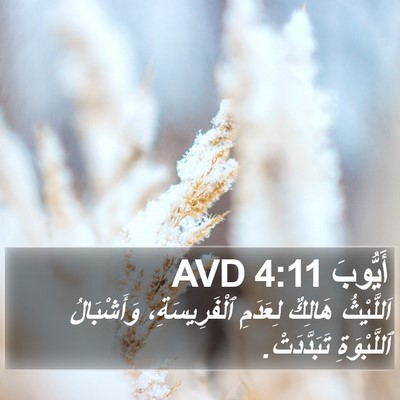 أَيُّوبَ 4:11 AVD Bible Verse Image