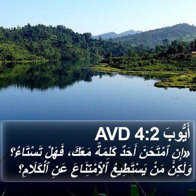 أَيُّوبَ 4:2 AVD Bible Verse Image