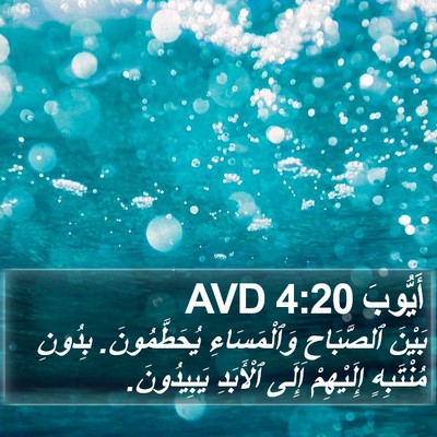 أَيُّوبَ 4:20 AVD Bible Verse Image