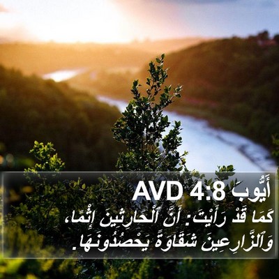 أَيُّوبَ 4:8 AVD Bible Verse Image