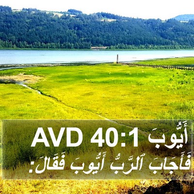 أَيُّوبَ 40:1 AVD Bible Verse Image
