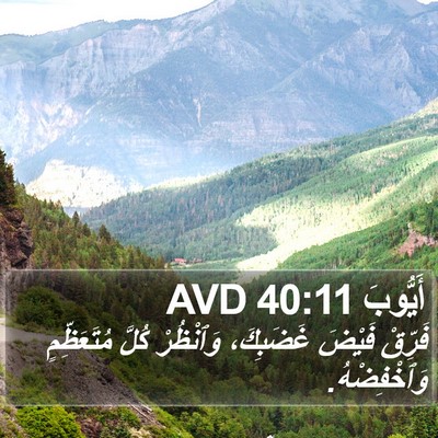 أَيُّوبَ 40:11 AVD Bible Verse Image