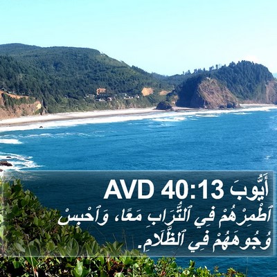 أَيُّوبَ 40:13 AVD Bible Verse Image