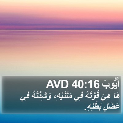 أَيُّوبَ 40:16 AVD Bible Verse Image