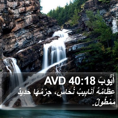 أَيُّوبَ 40:18 AVD Bible Verse Image