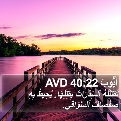 أَيُّوبَ 40:22 AVD Bible Verse Image
