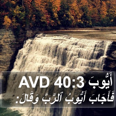 أَيُّوبَ 40:3 AVD Bible Verse Image