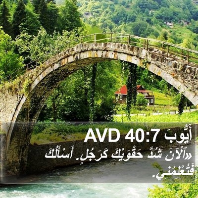 أَيُّوبَ 40:7 AVD Bible Verse Image