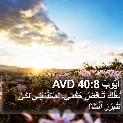 أَيُّوبَ 40:8 AVD Bible Verse Image