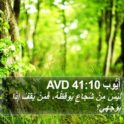 أَيُّوبَ 41:10 AVD Bible Verse Image