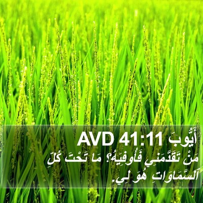 أَيُّوبَ 41:11 AVD Bible Verse Image