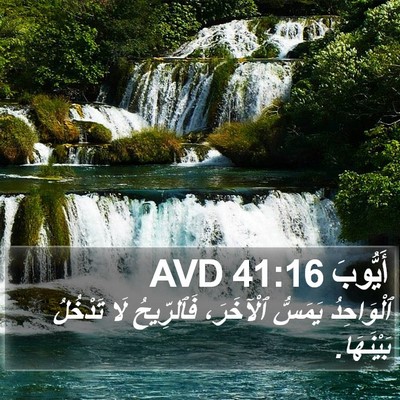 أَيُّوبَ 41:16 AVD Bible Verse Image