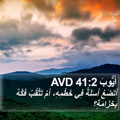 أَيُّوبَ 41:2 AVD Bible Verse Image