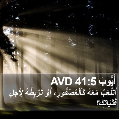 أَيُّوبَ 41:5 AVD Bible Verse Image