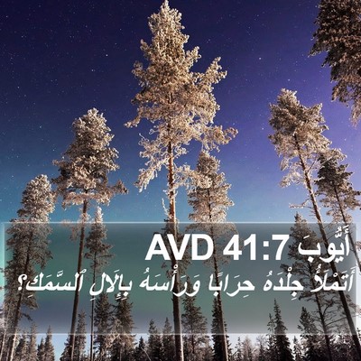 أَيُّوبَ 41:7 AVD Bible Verse Image