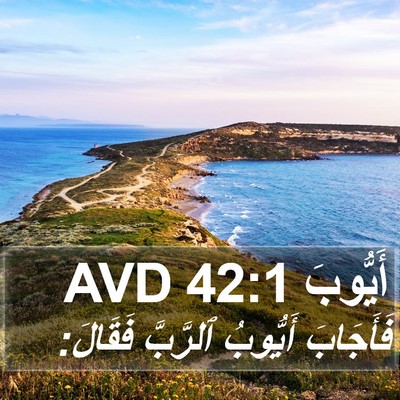 أَيُّوبَ 42:1 AVD Bible Verse Image
