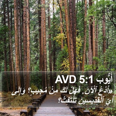أَيُّوبَ 5:1 AVD Bible Verse Image