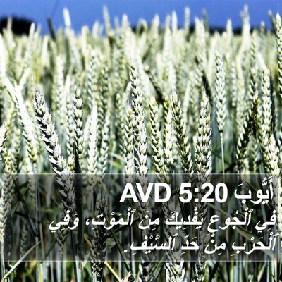 أَيُّوبَ 5:20 AVD Bible Verse Image