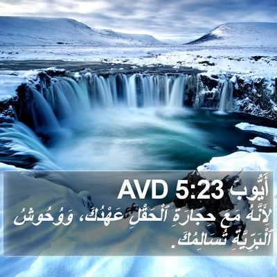 أَيُّوبَ 5:23 AVD Bible Verse Image