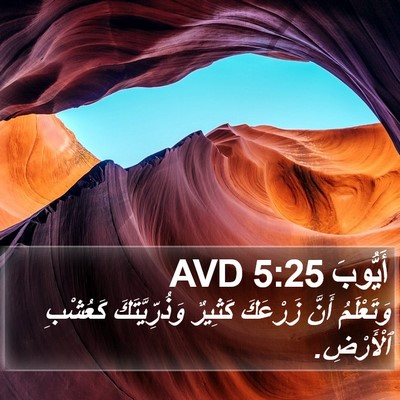 أَيُّوبَ 5:25 AVD Bible Verse Image